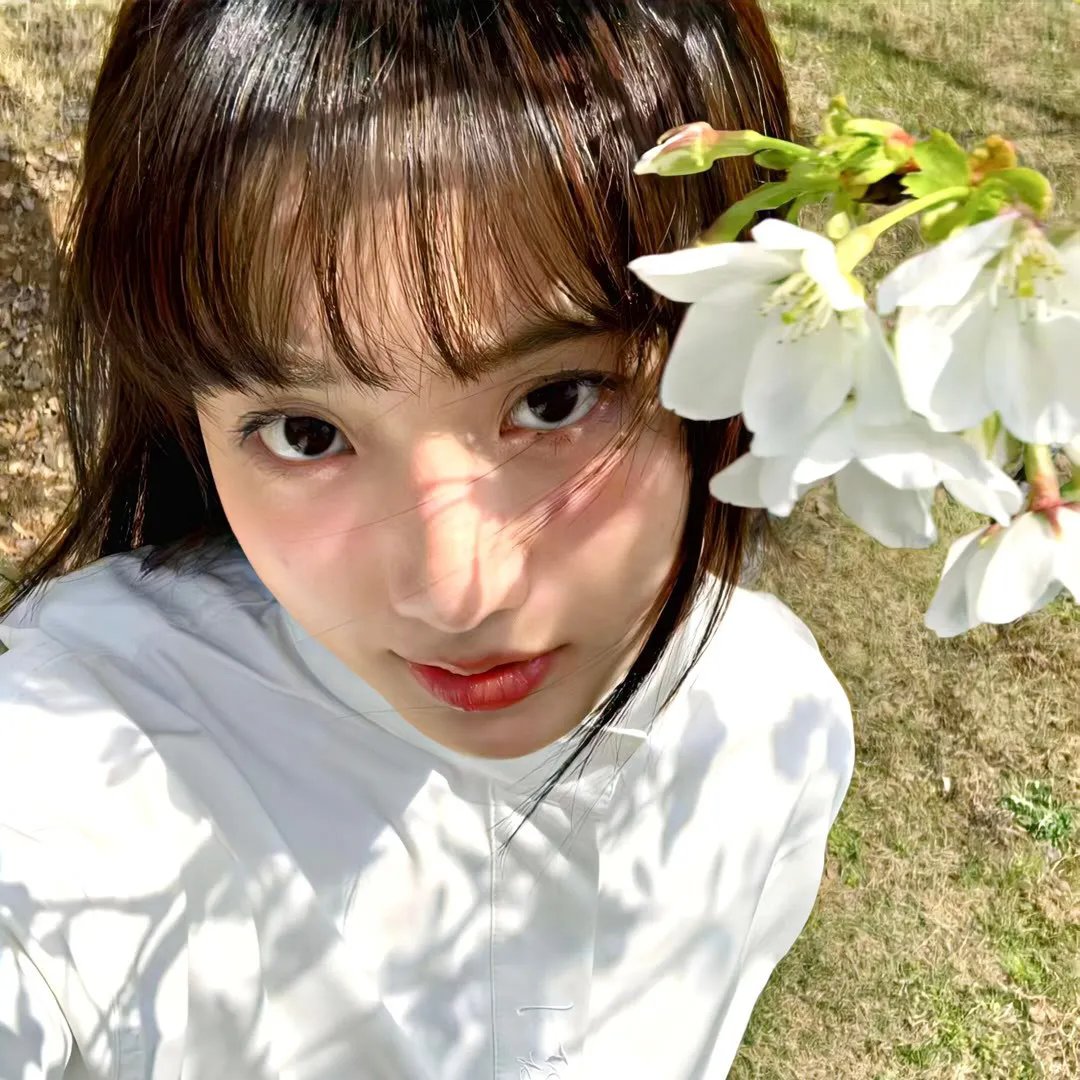 花豹王国 在线观看